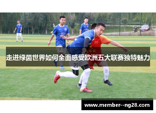 走进绿茵世界如何全面感受欧洲五大联赛独特魅力