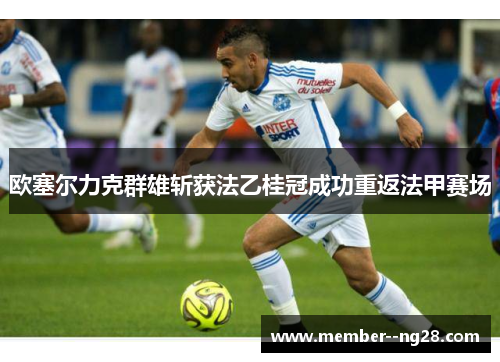 欧塞尔力克群雄斩获法乙桂冠成功重返法甲赛场 欧塞尔力克群雄斩获法乙桂冠成功重返法甲赛场
