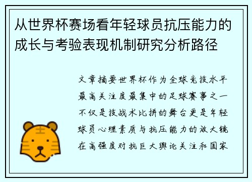 从世界杯赛场看年轻球员抗压能力的成长与考验表现机制研究分析路径